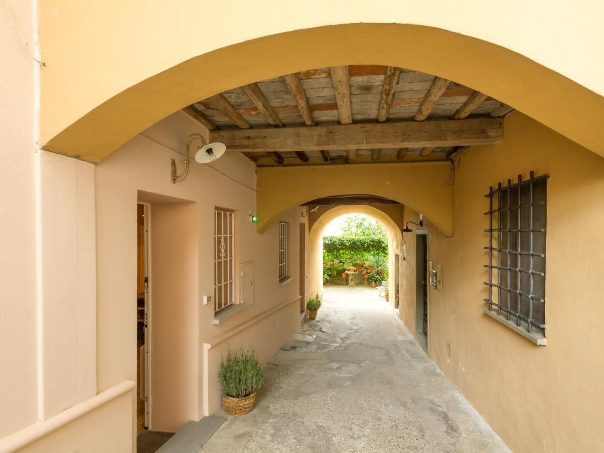 Rosa in der Toskana-Binnen