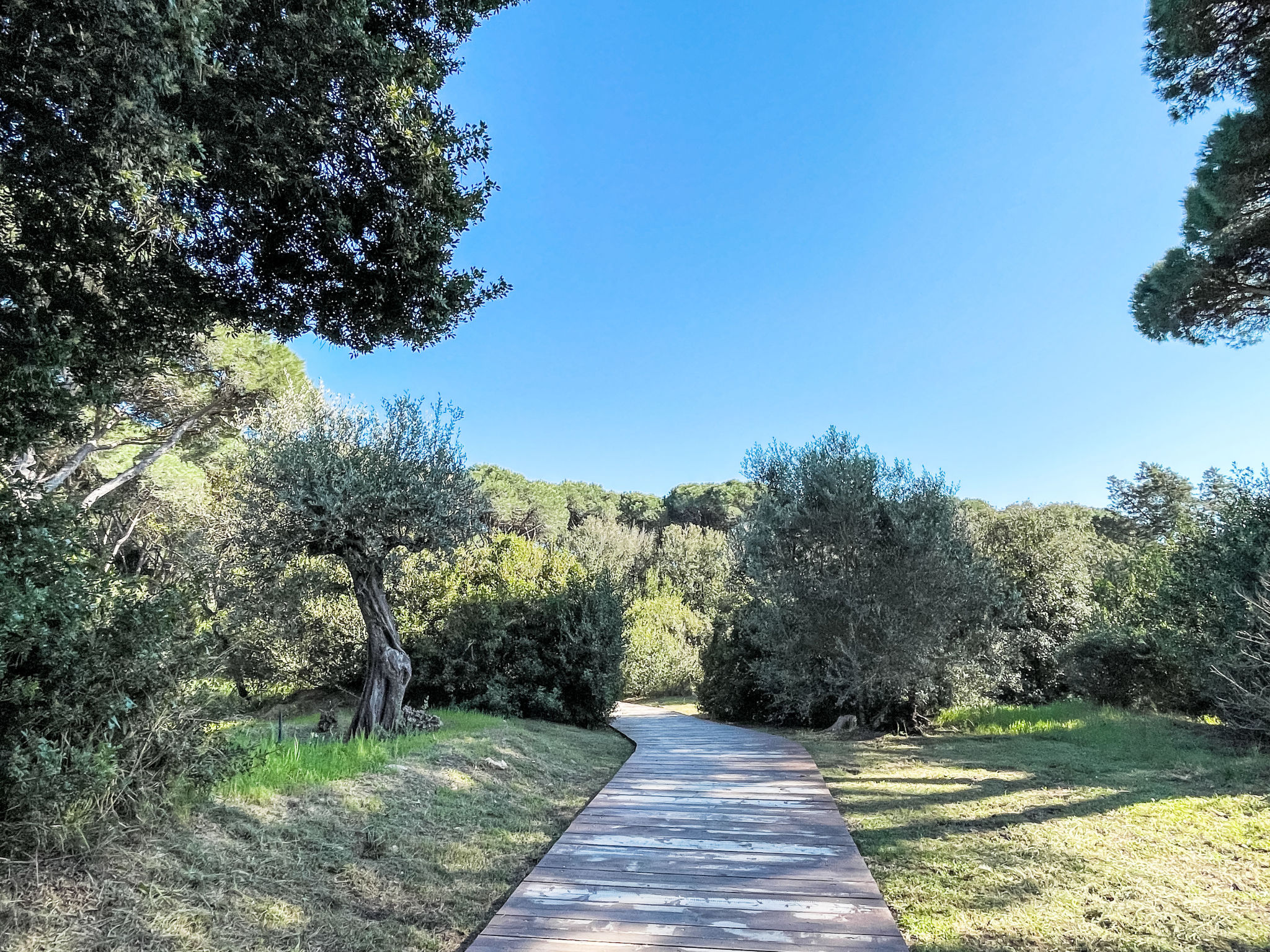 Charme Plus - Buiten