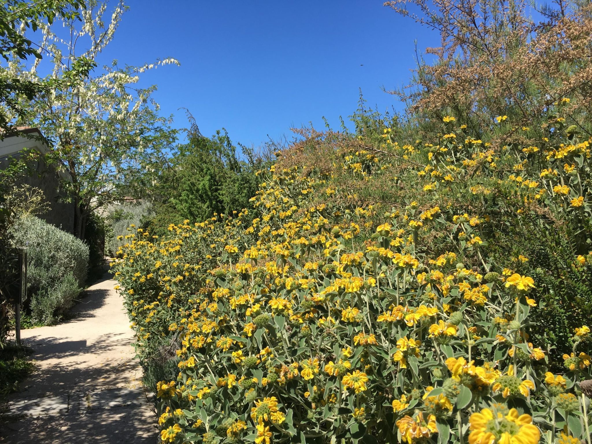 Ferienwohnung-Binnen