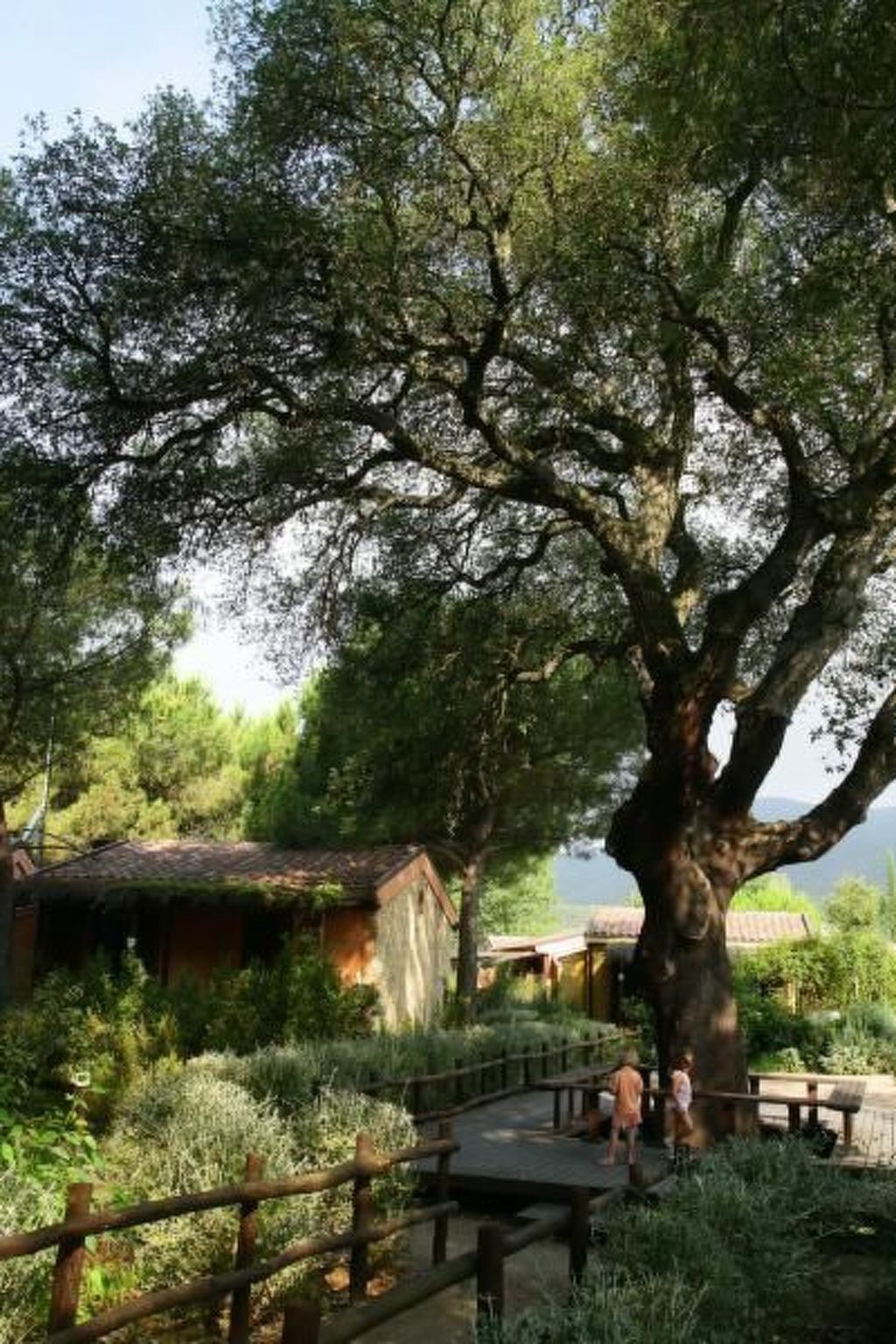 Ferienwohnung-Binnen