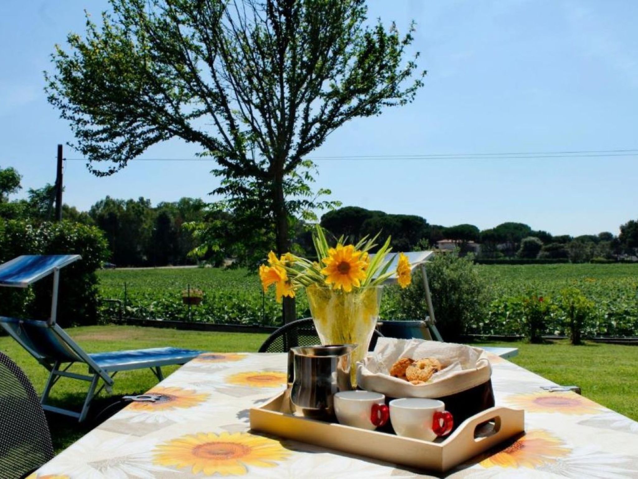 Lo Ziro Wohnung-Image-tags.info