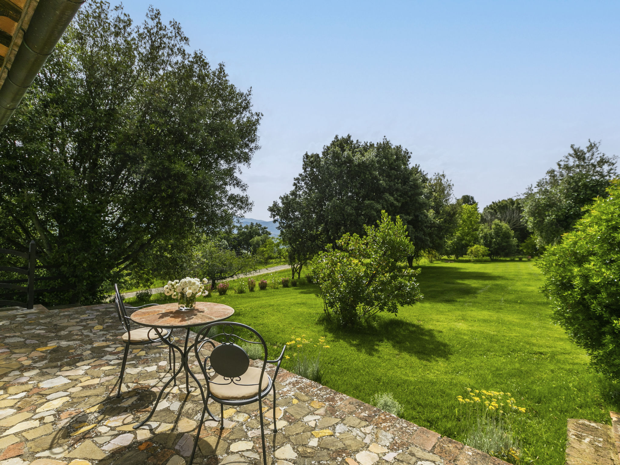 Ferme Ciliegiolo – Terrasse, photo 47 sur 51
