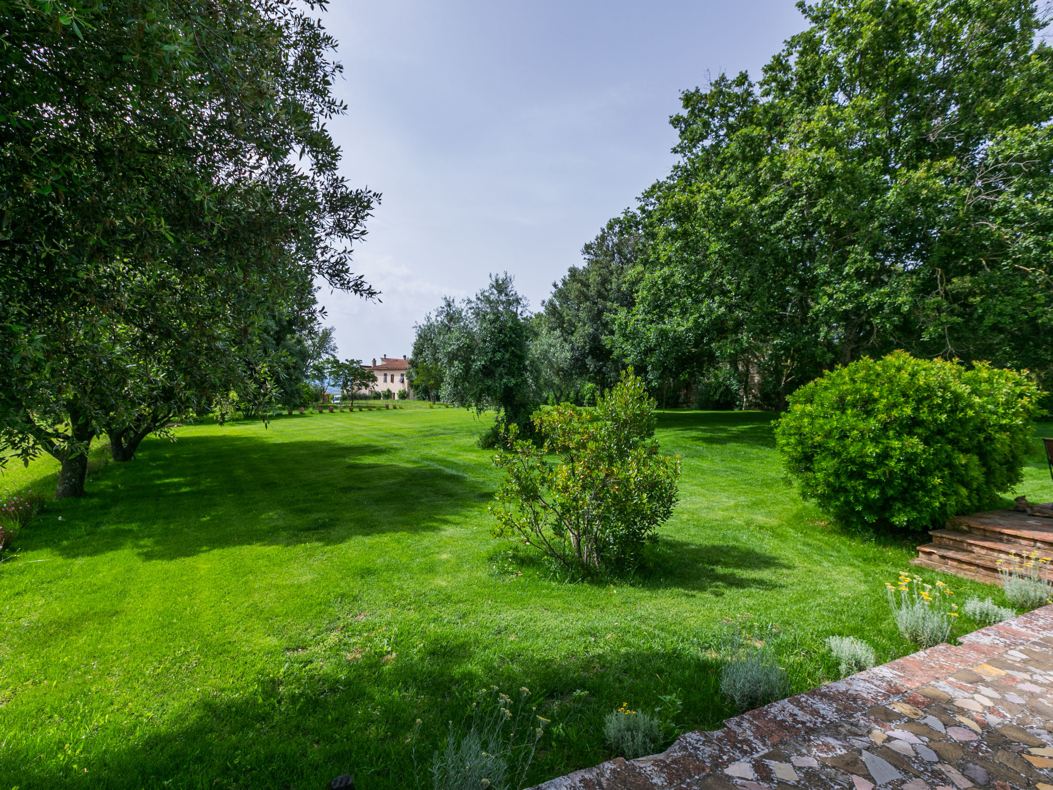 Ferme Ciliegiolo – Terrasse, photo 48 sur 51