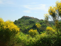 Vacation home Poggio Velluto