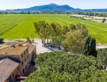Rustiek appartement Ulivo nabij strand Maremma, Grosseto - thumbnail 2