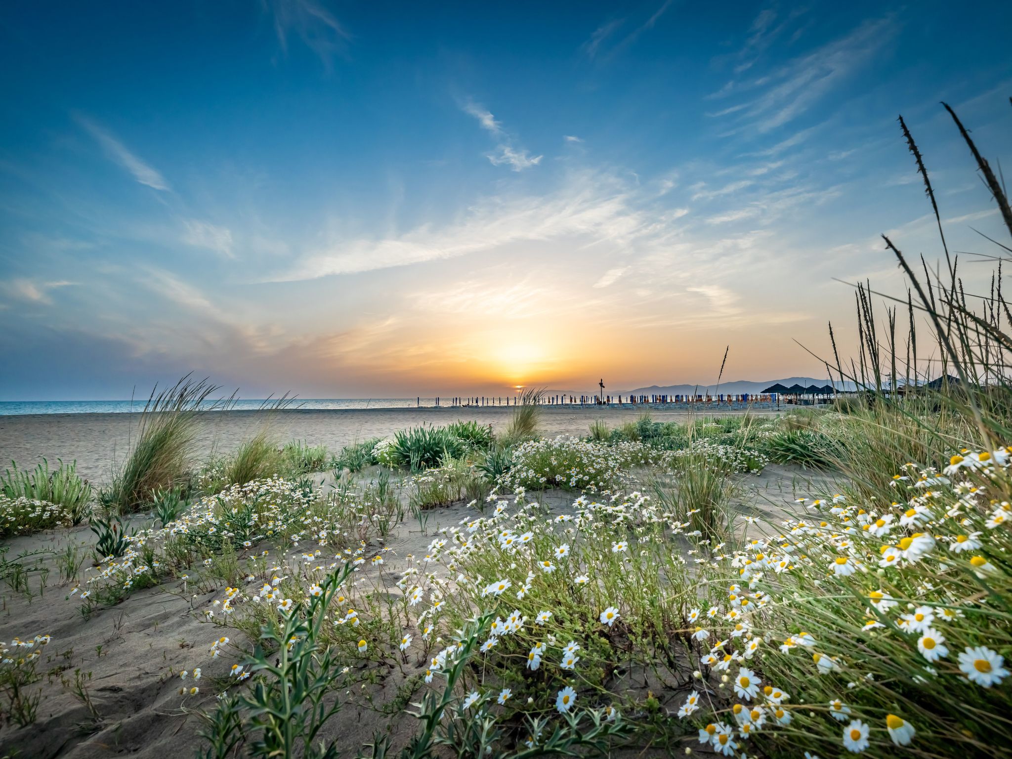 Mareblù' Wohnung mit Terrasse - Image-tags.info