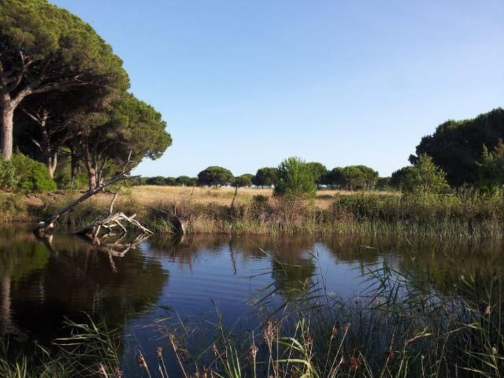 Mareblù' Wohnung mit Terrasse - Image-tags.info