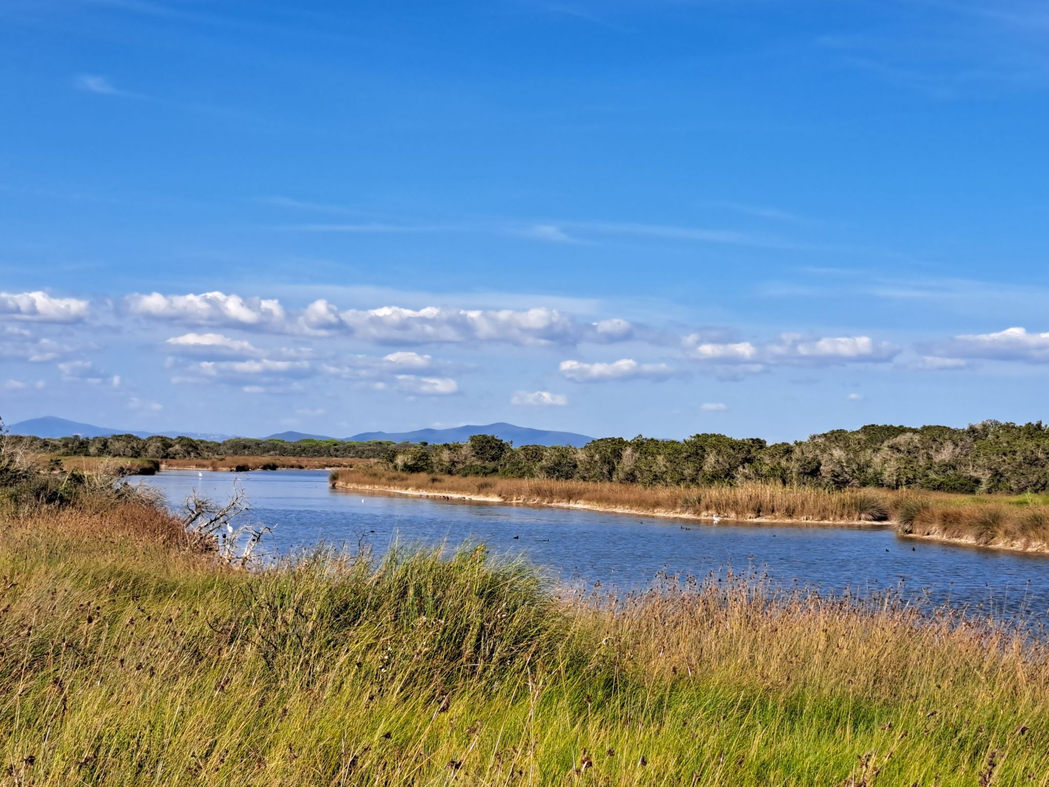 Mareblù' Wohnung mit Terrasse - Image-tags.info