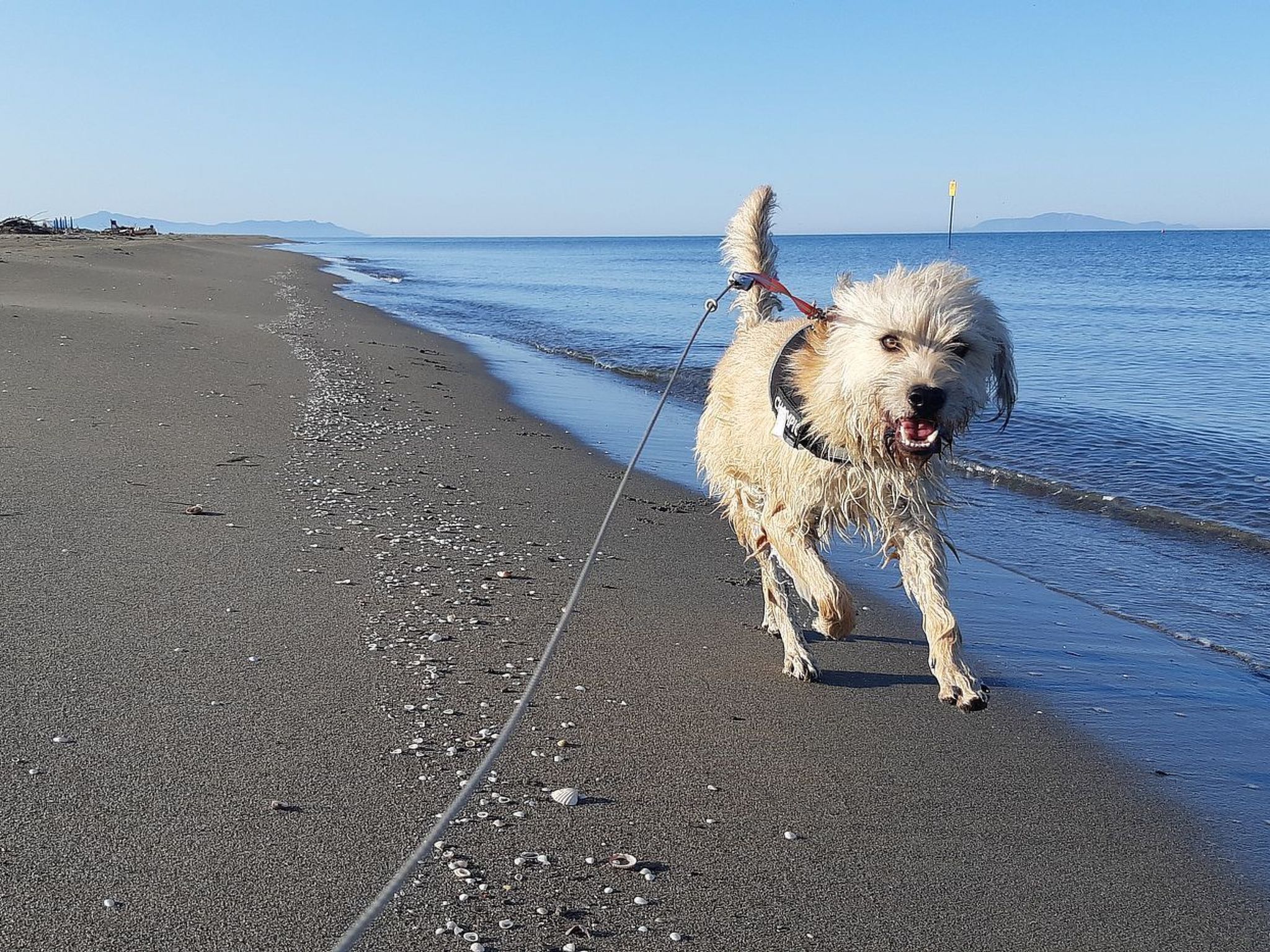 Mareblù' Wohnung mit Terrasse - Image-tags.info