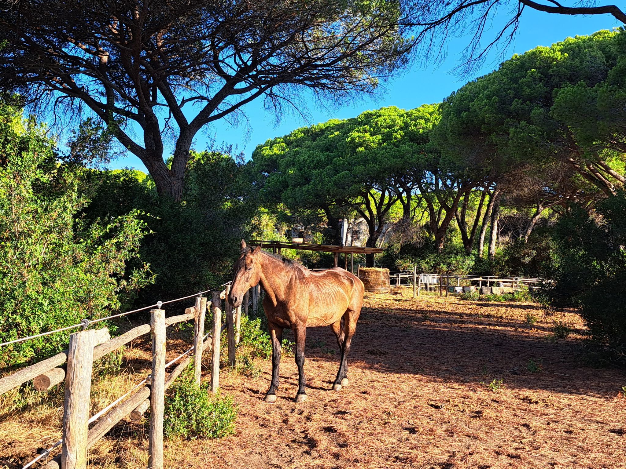 Mareblù' Wohnung mit Terrasse - Image-tags.info