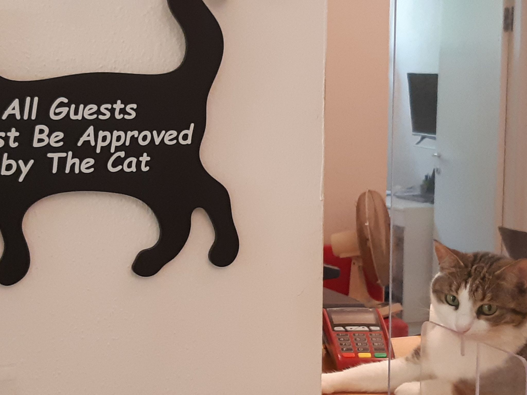 Mareblù' Wohnung mit Terrasse - Image-tags.info