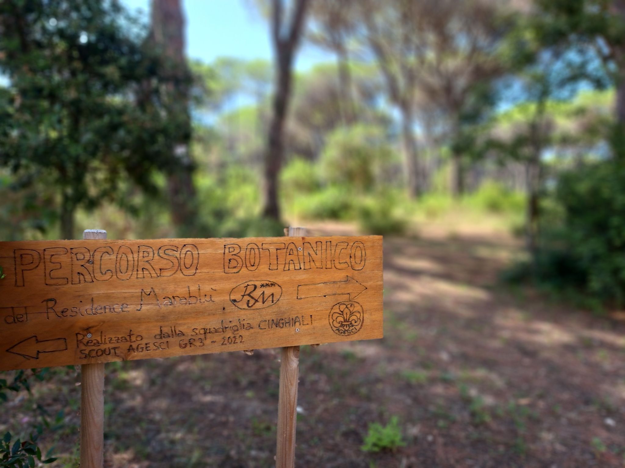 Mareblù' Wohnung mit Terrasse - Image-tags.info