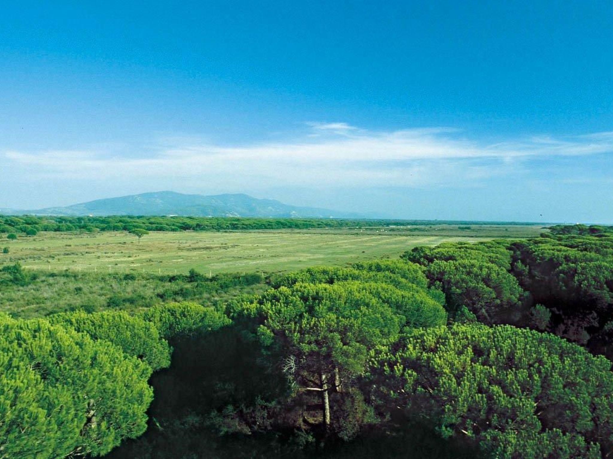 Mareblù' Wohnung mit Jacuzzi-Dehors