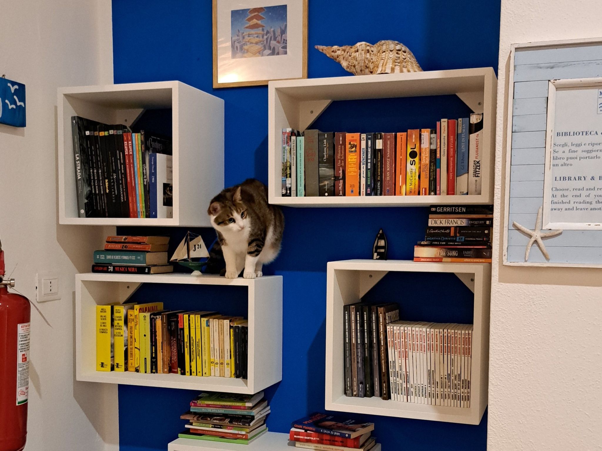 Nette Wohnung in Principina A Mare mit Terrasse und Garten-Binnen