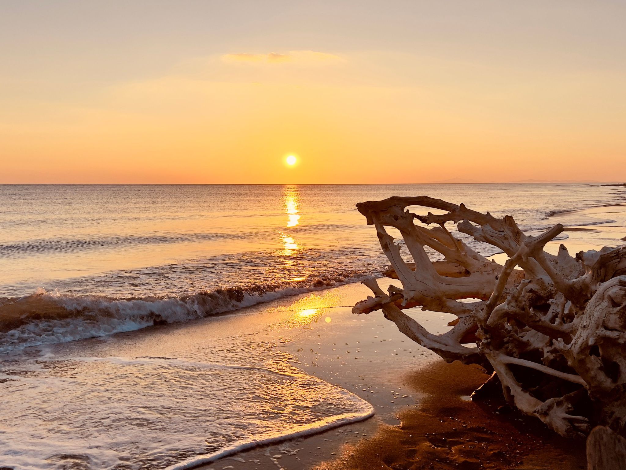 Wohnung Alborense-Binnen