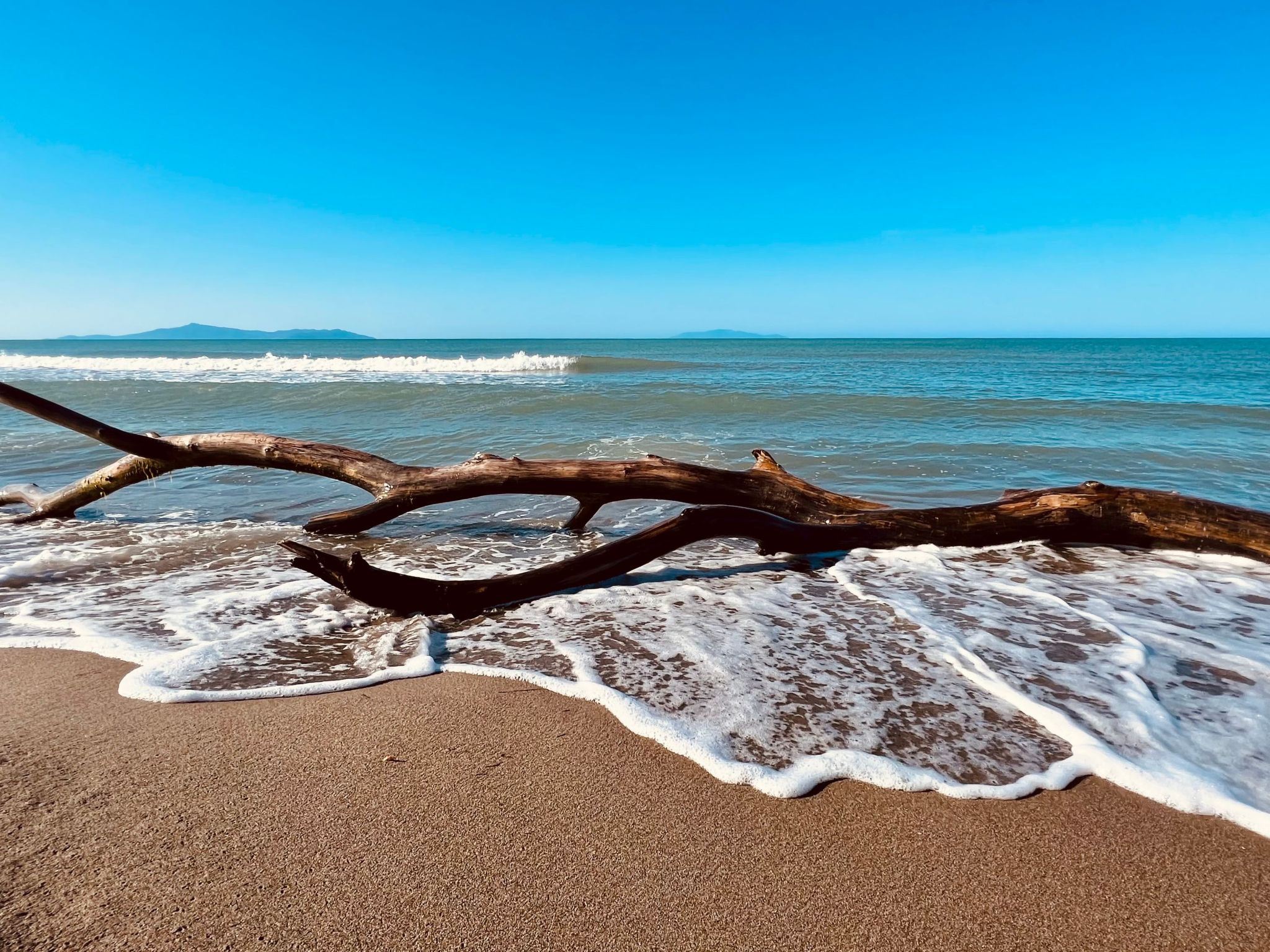 Wohnung Alborense-Binnen