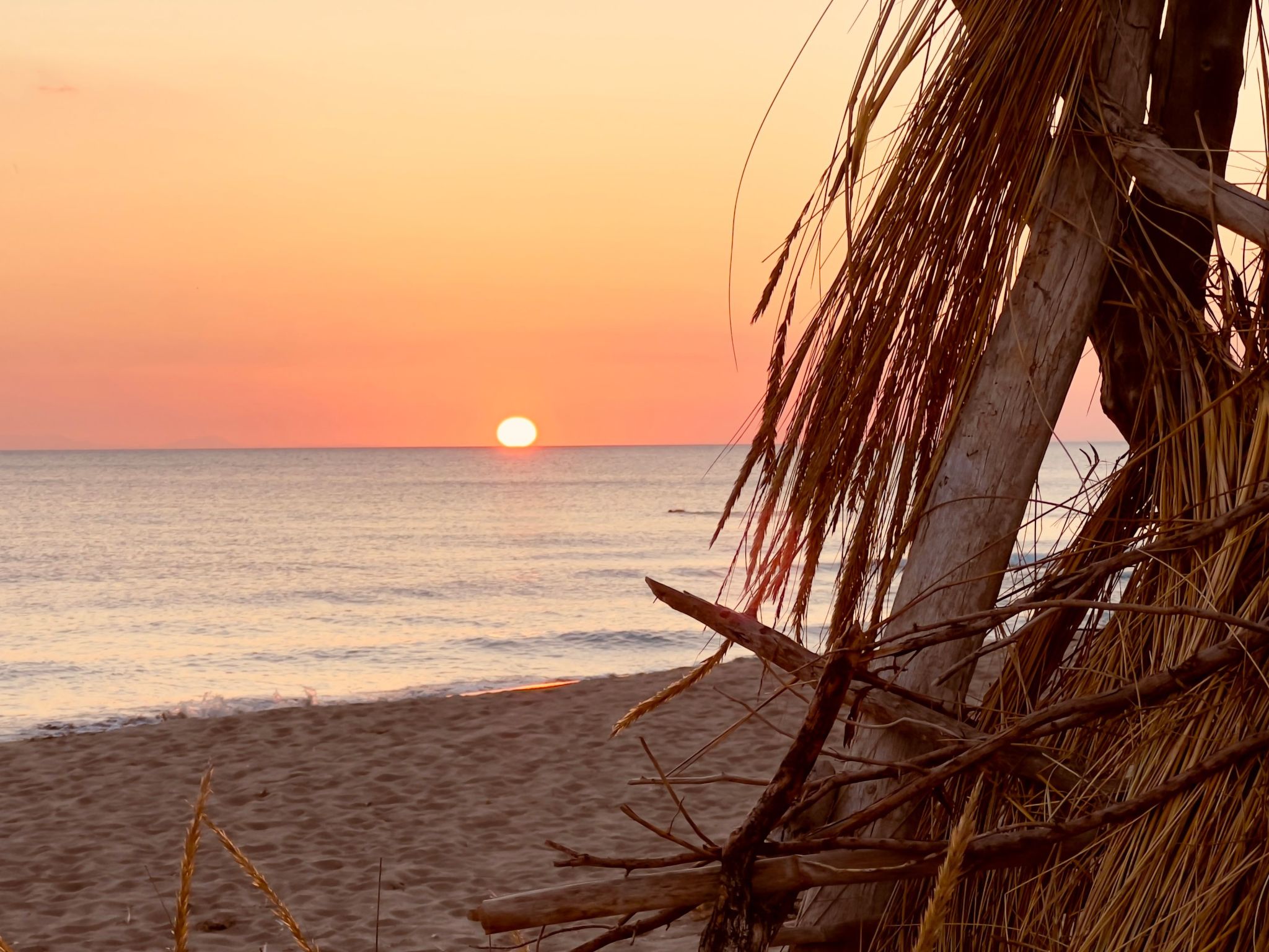 Wohnung Cielo-Binnen