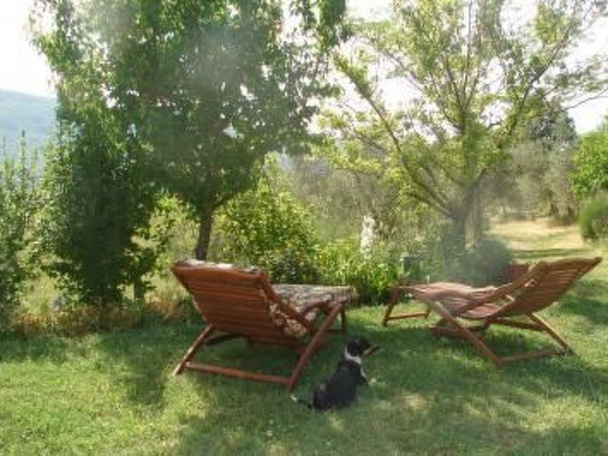 Casa Cardeta in Arcidosso