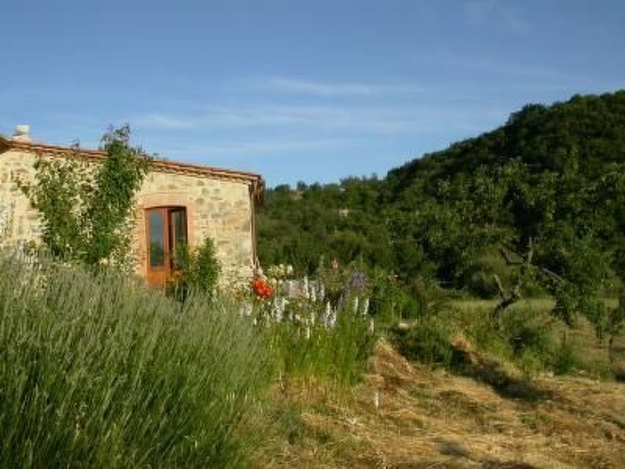 Casa Cardeta in Arcidosso-Image-tags.info