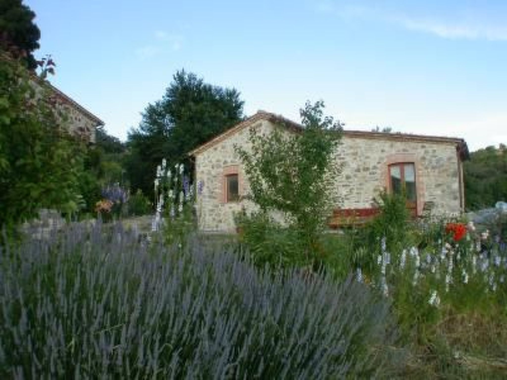 Casa Cardeta in Arcidosso-Image-tags.info