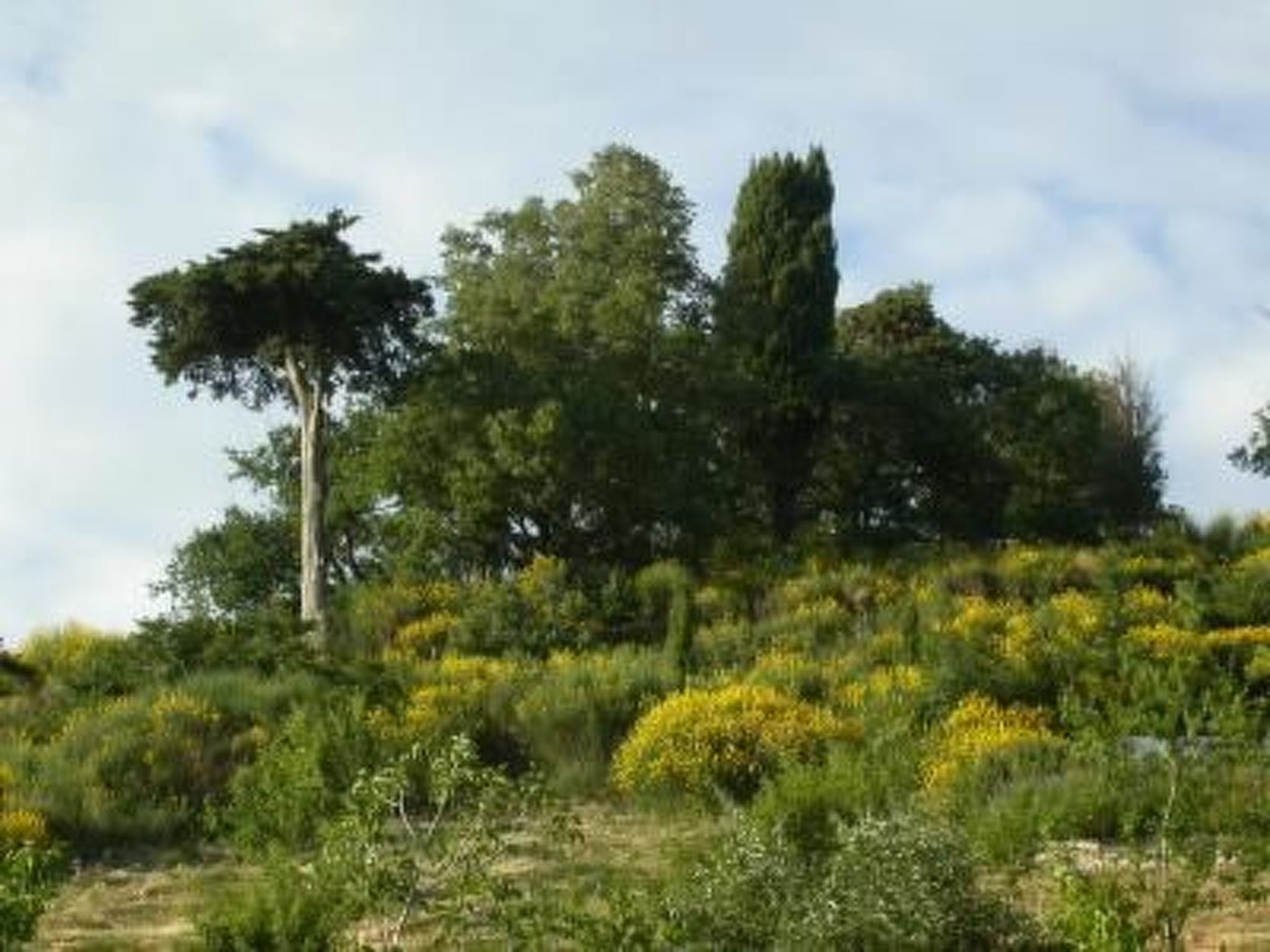 Casa Cardeta in Arcidosso-Image-tags.info