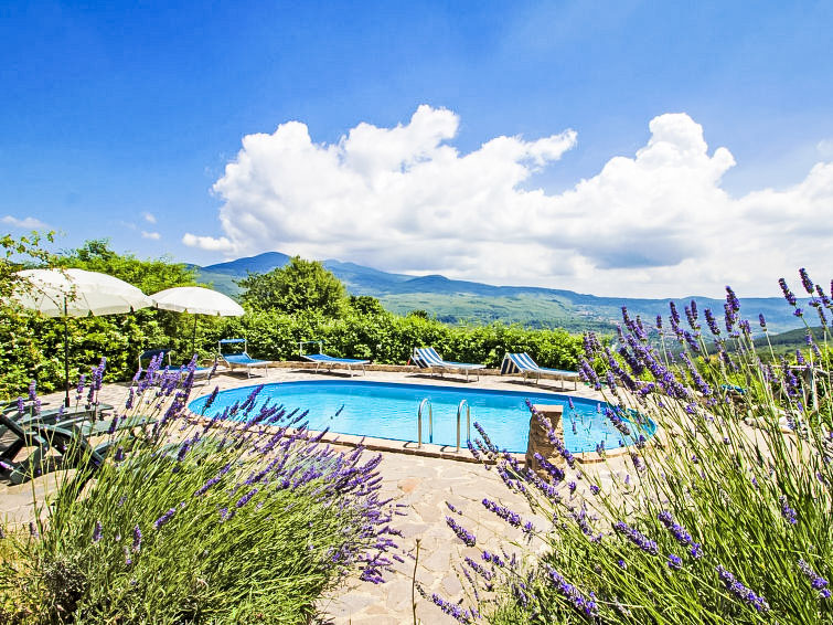 Search and Stay destination Province of Grosseto, Tuscany - Italy from AU$ 131. Spiga