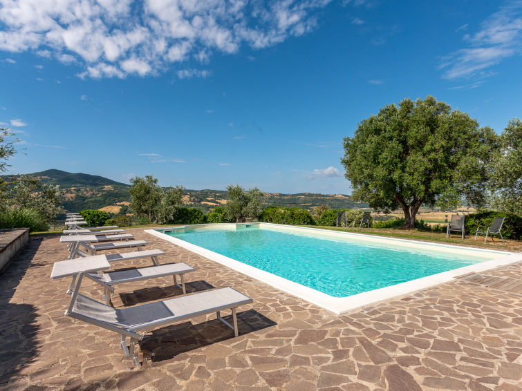 Search and Stay destination Scansano, Toscana - Italy from AU$ 516. Casa Grande