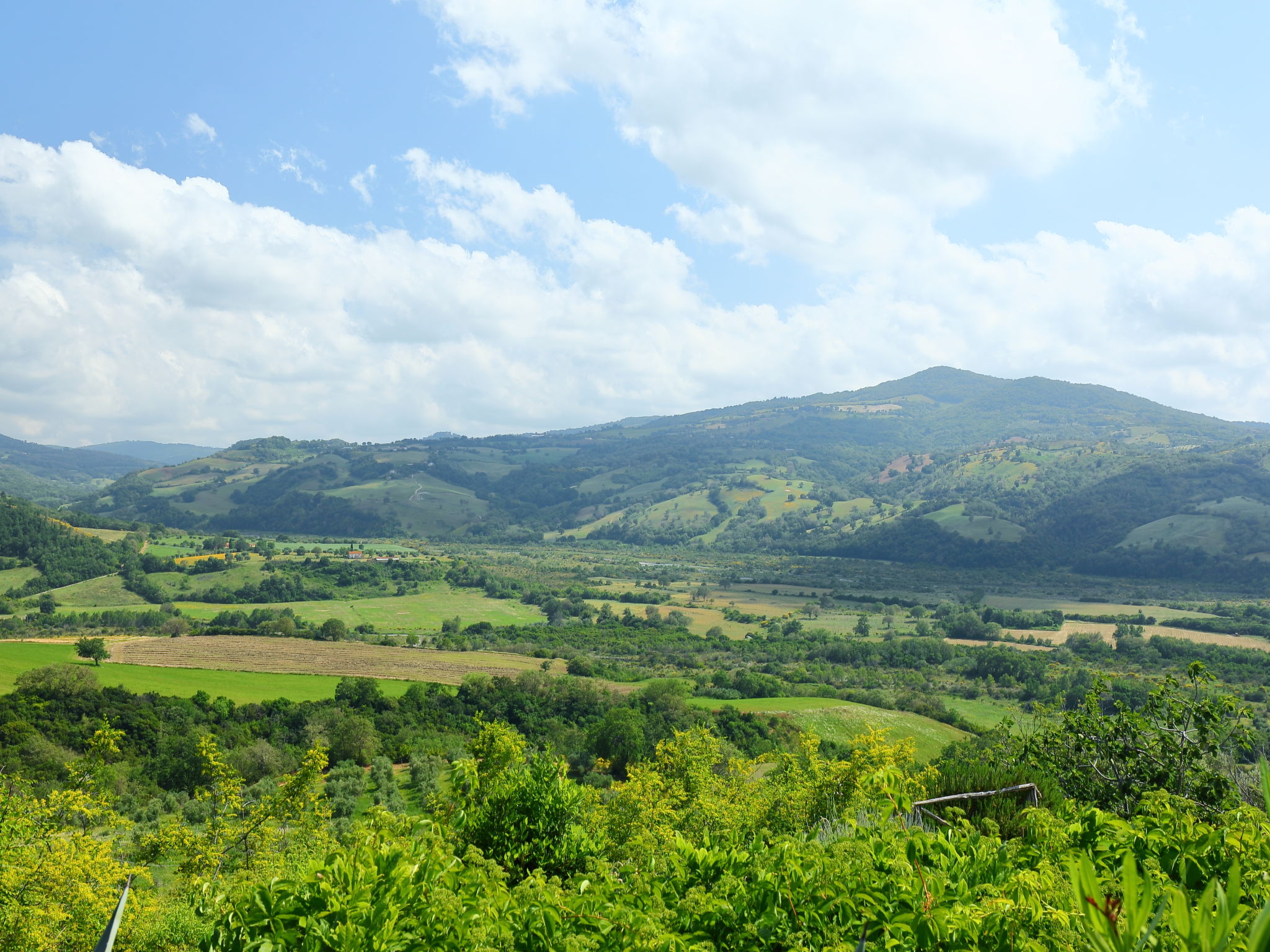 Ferme Casa Grande – Vue, photo 36 sur 41