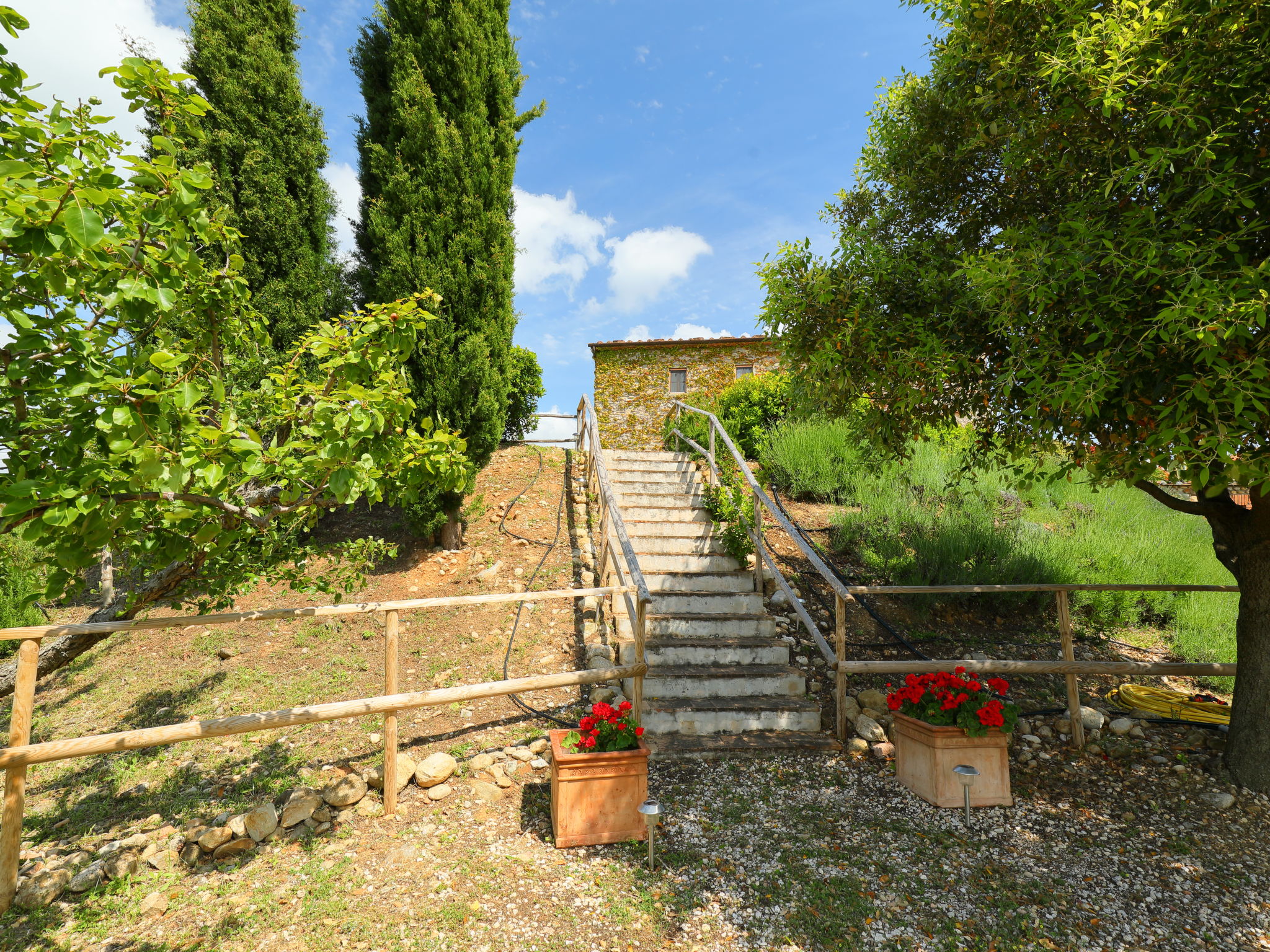 Ferme Casa Grande – Extérieur de la maison, photo 32 sur 41