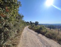 Casa di vacanze Country House