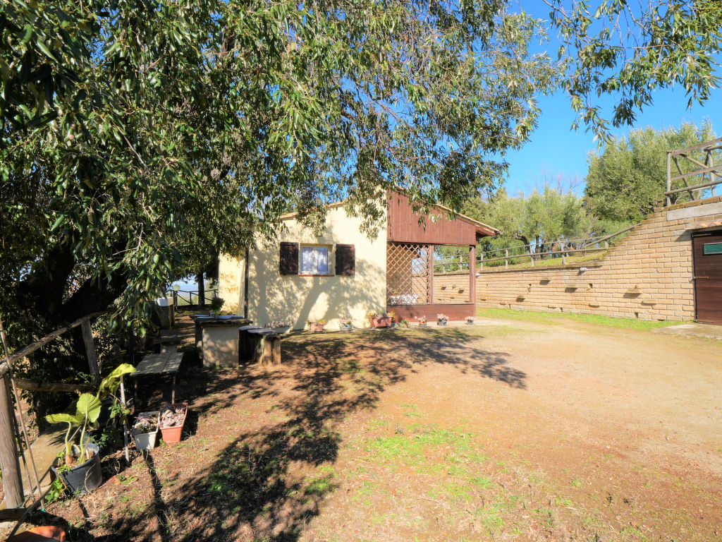 Bild 12