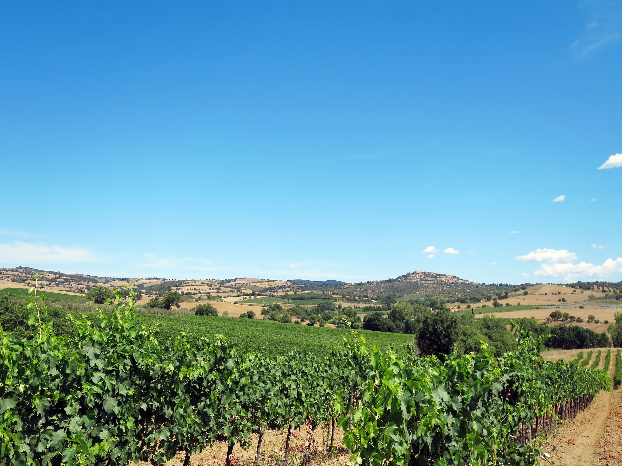 Il Belvedere di Montiano-Environnement