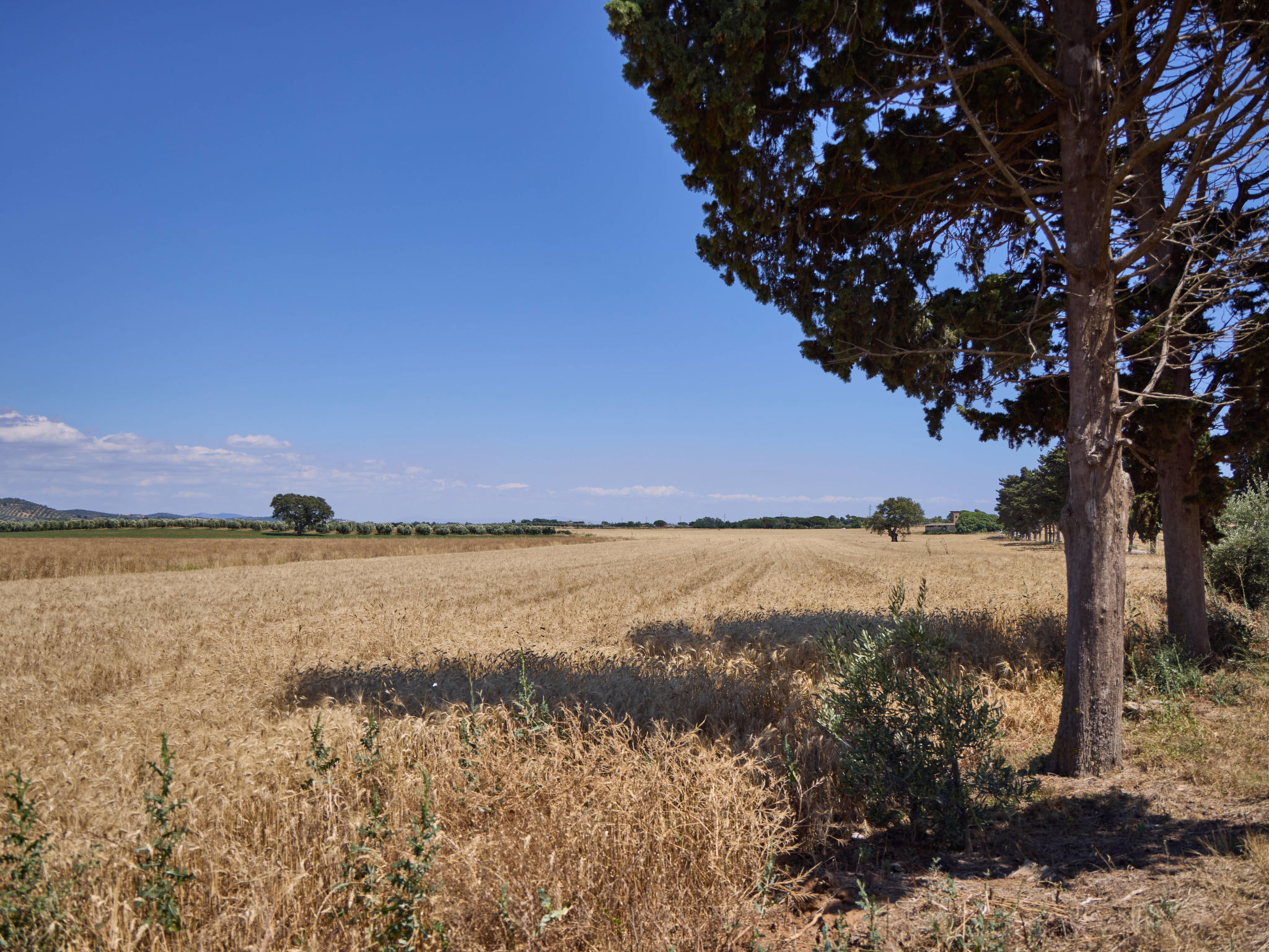 Costa D'Argento-Dehors