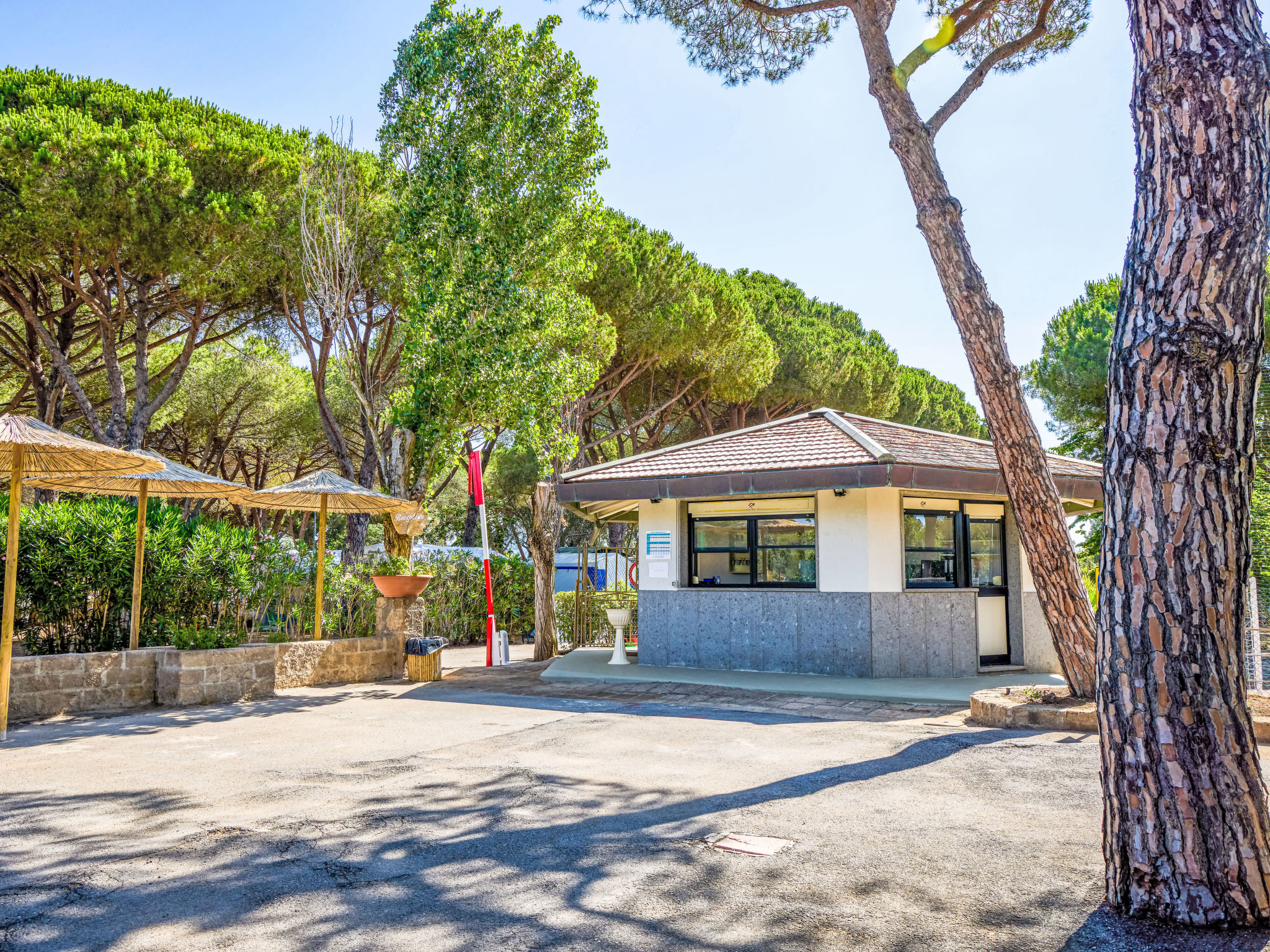 Costa D'Argento-Dedans