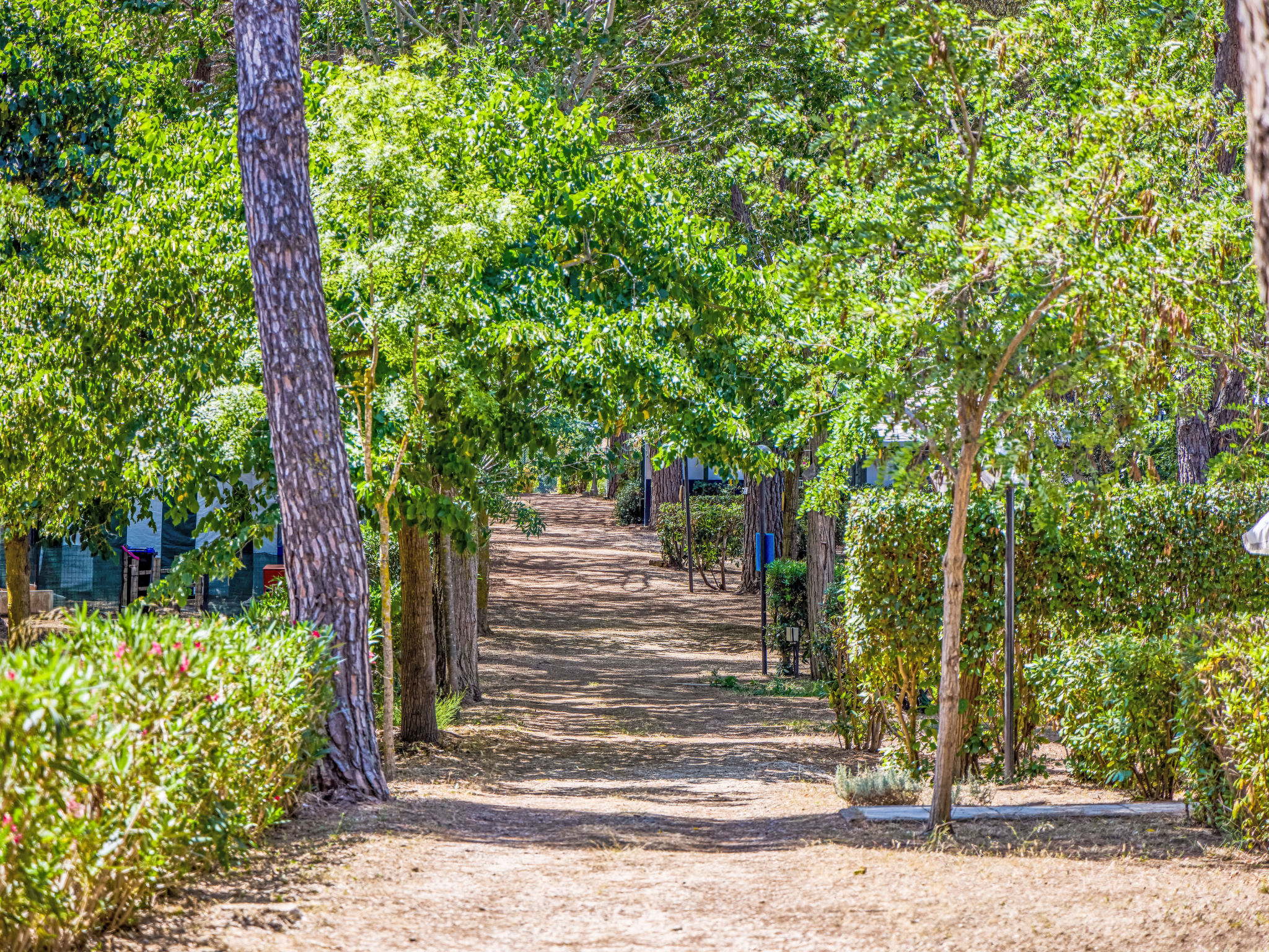 Costa D'Argento-Dehors
