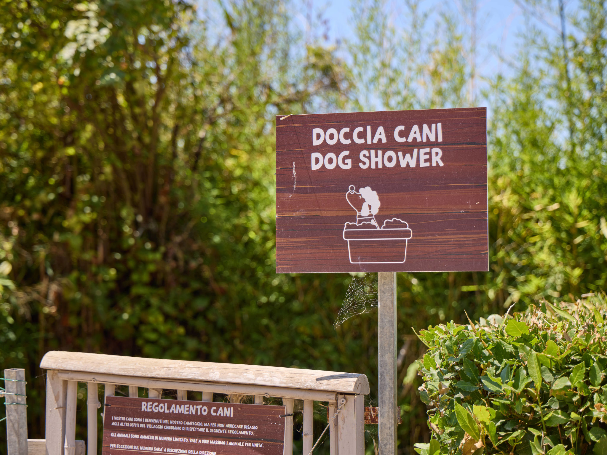 Costa D'Argento-Dehors