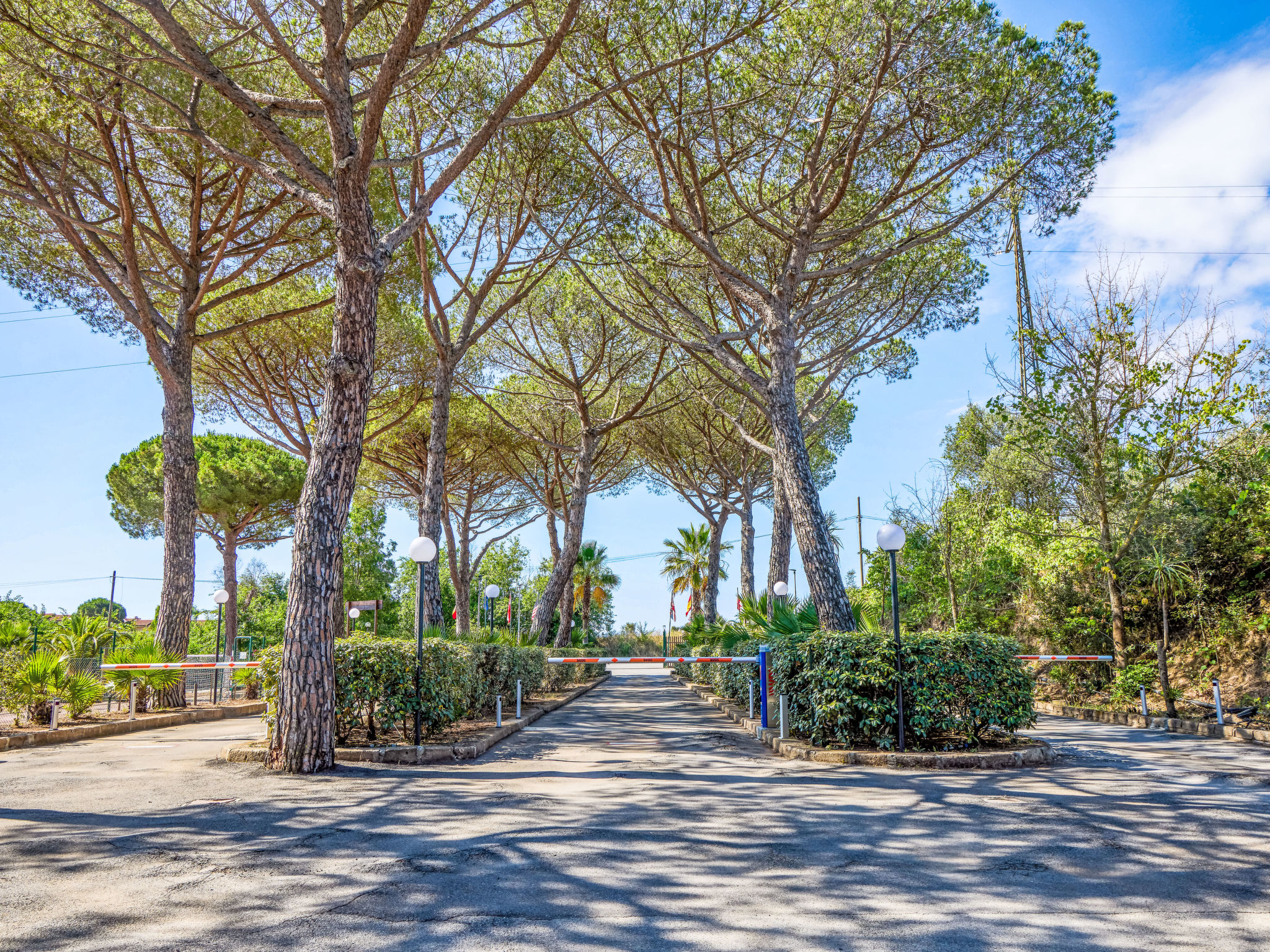 Costa D'Argento-Dehors