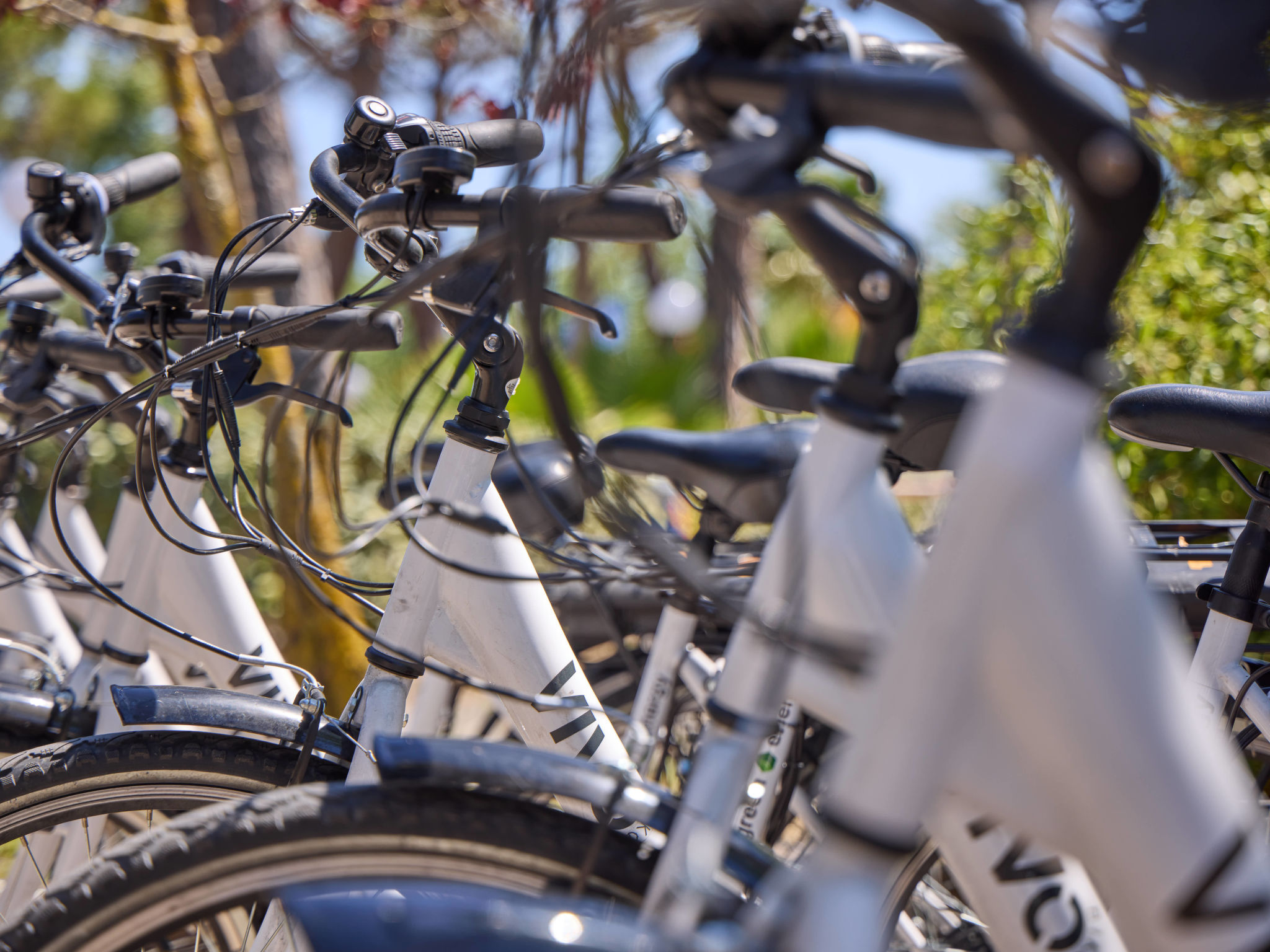 Costa D'Argento-Buiten