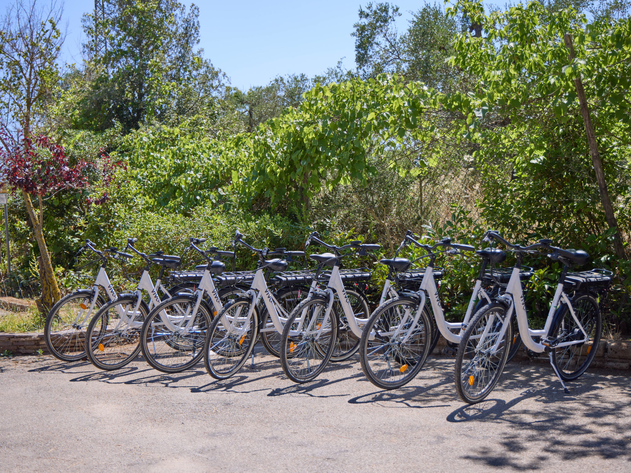 Costa D'Argento-Buiten