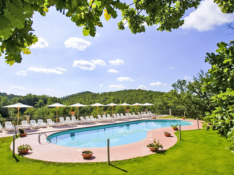 Search and Stay destination Provincia di Grosseto, Toscana - Italy from AU$ 216. Oak