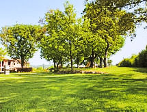 Ferienwohnung Oak