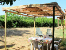 Fattoria Petraglia - Cedro