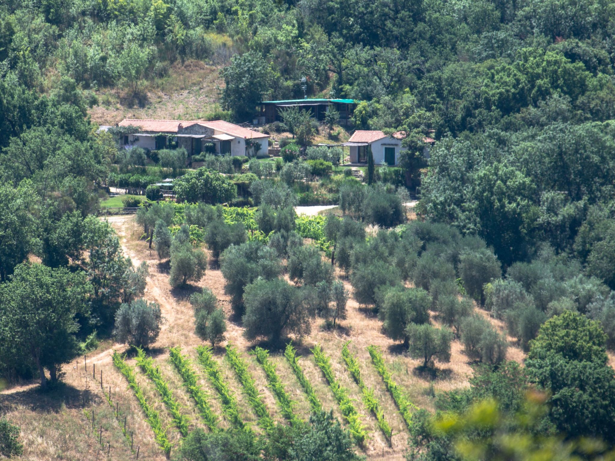 in Saturnia, Toskana — House (5 of 14)