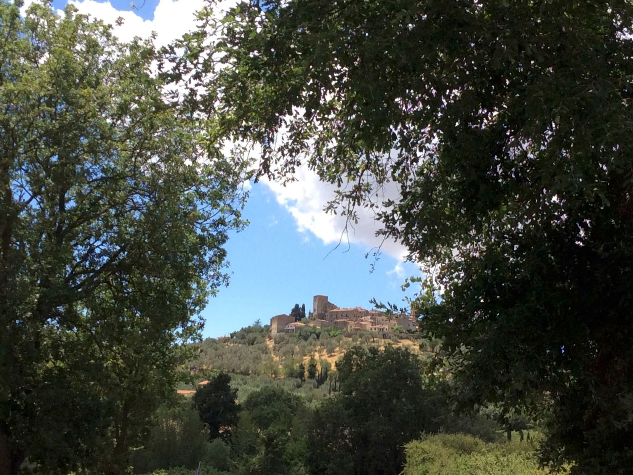 Hochwertige Wohnung im Turm-Schlösschen-Binnen