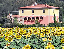 Ferienhaus Tara