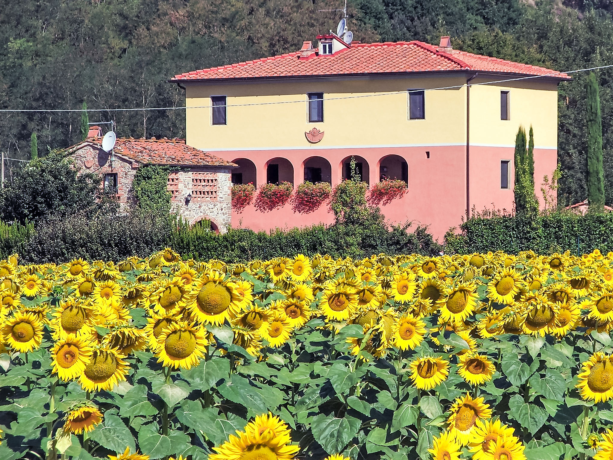 House
