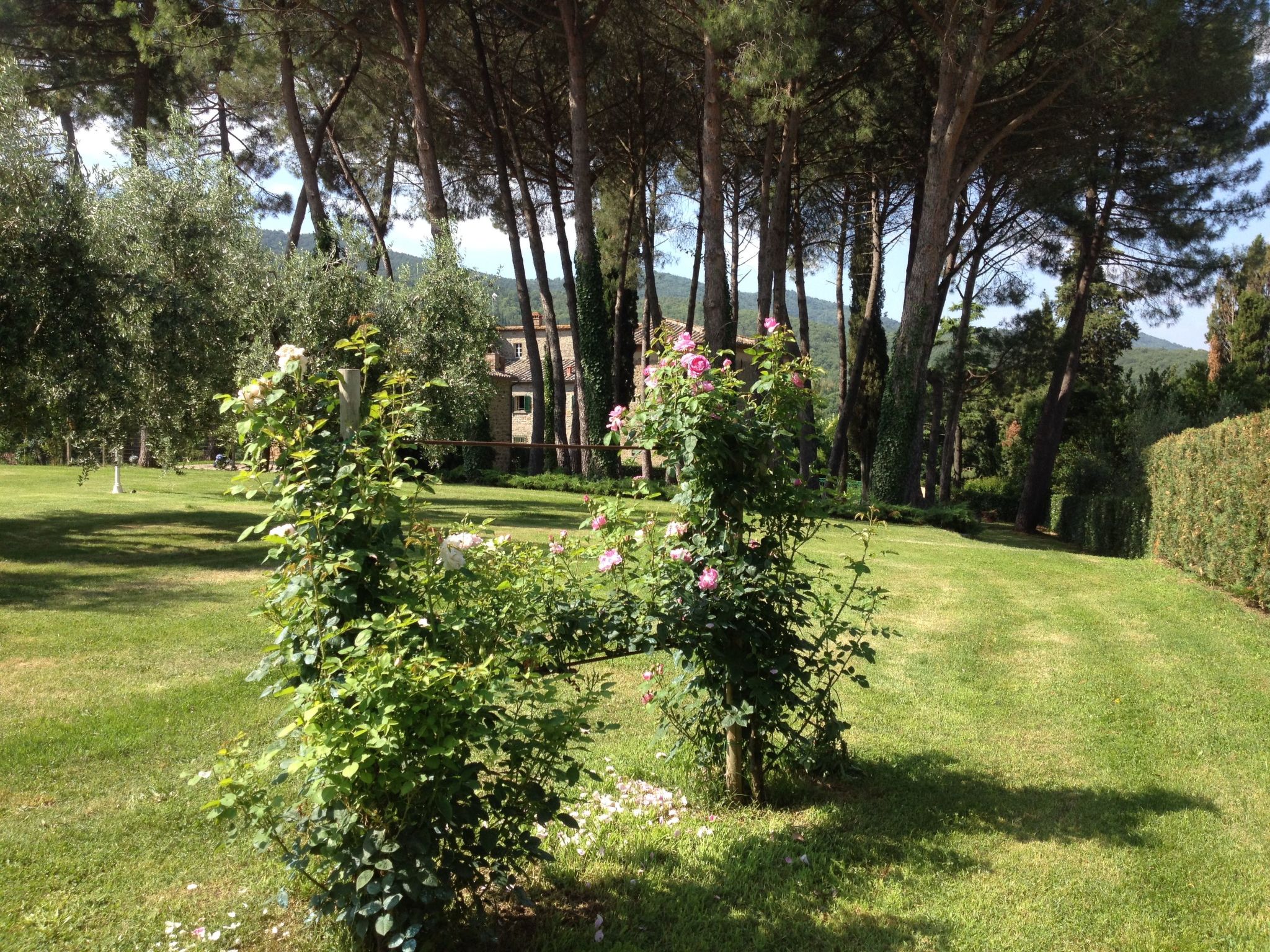Für 3 Personen  + 1 Kind ca. 75 m&sup2; in Cortona, Toskana (Provinz Arezzo)-Outside