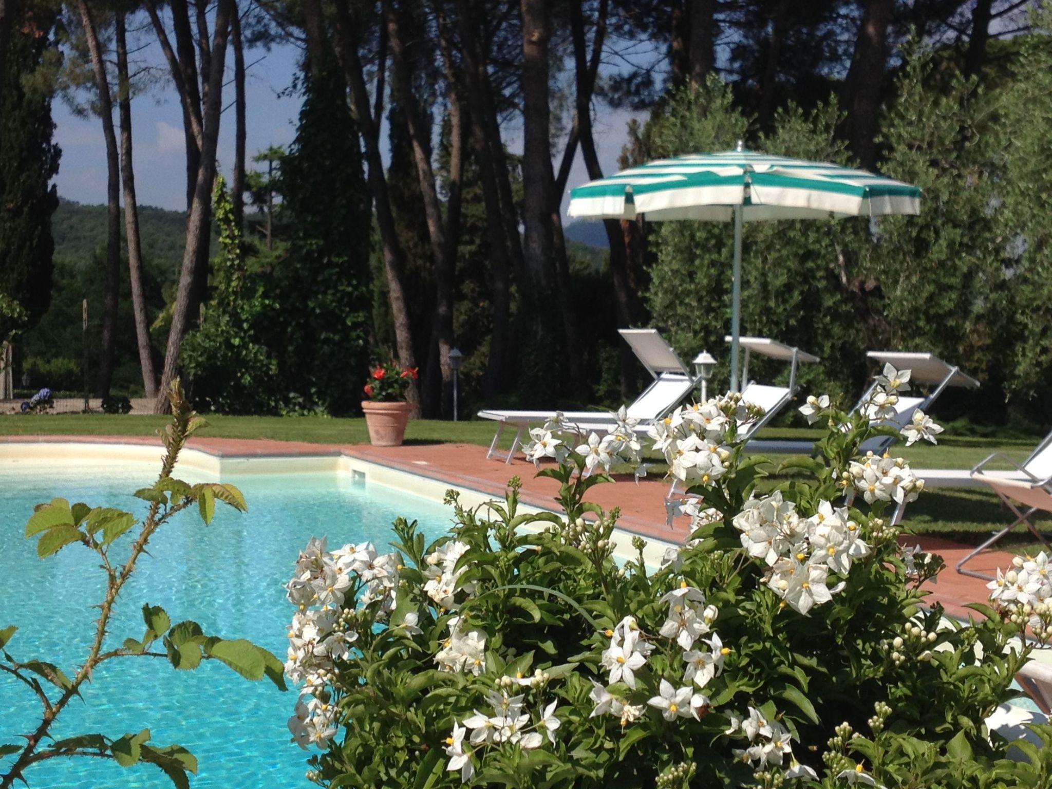 Für 3 Personen  + 1 Kind ca. 75 m&sup2; in Cortona, Toskana (Provinz Arezzo)-Outside