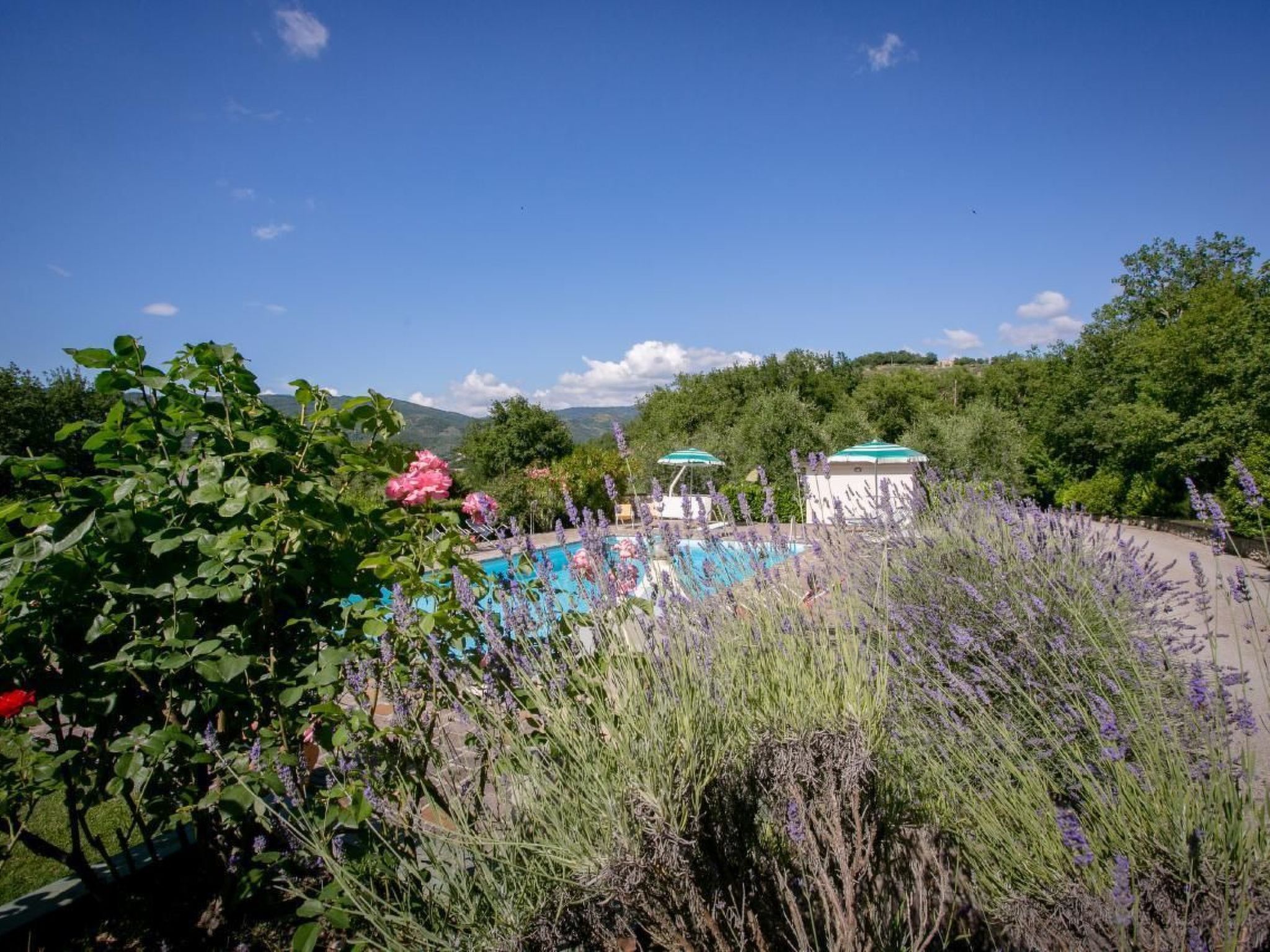 Schönes Appartement in Orzale mit Garten, Grill und Terrasse-Binnen