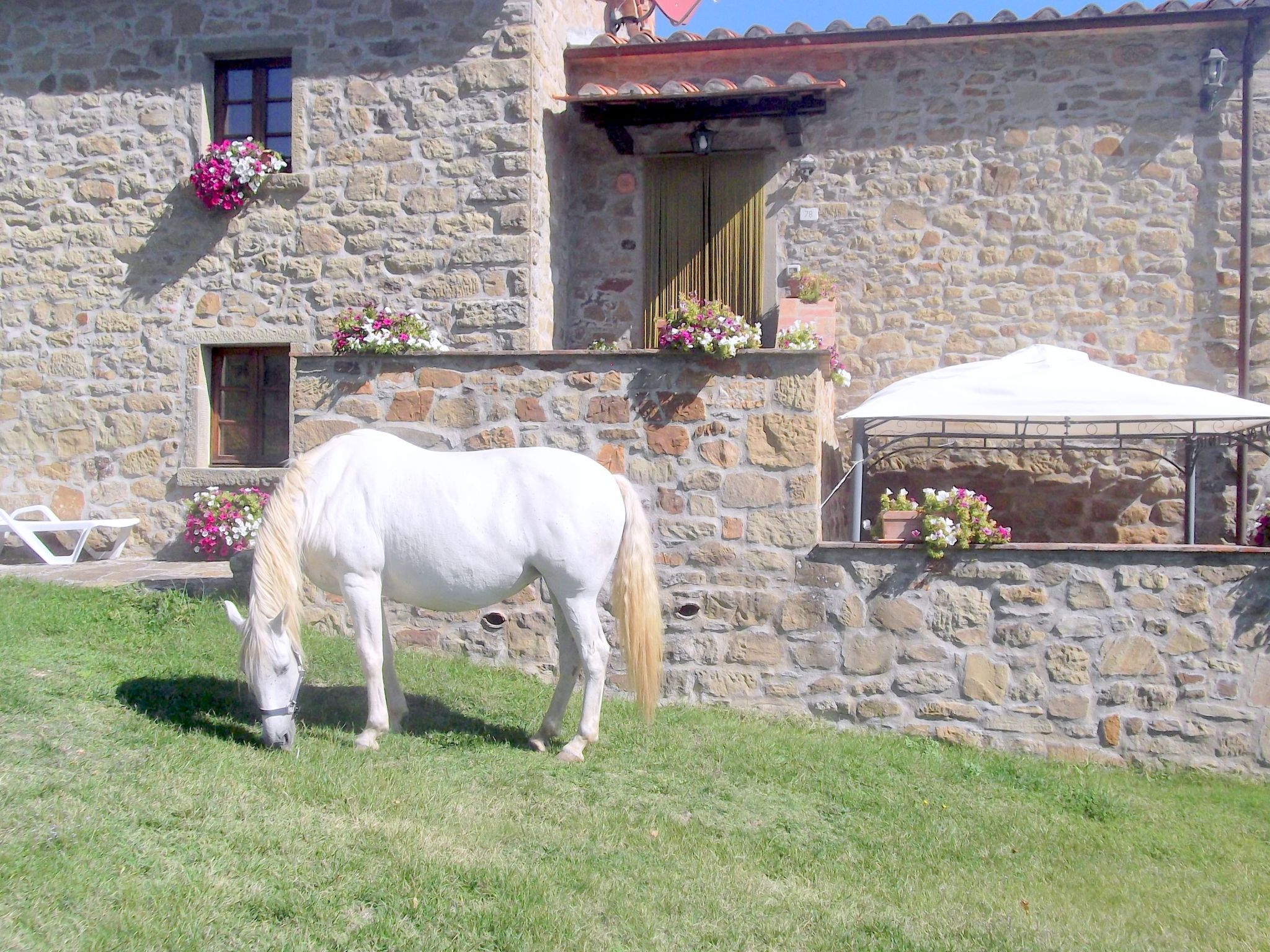 Wohnung la Mimosa-Binnen